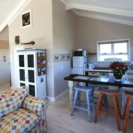 Reddoor Studio Pringle Bay Zewnętrze zdjęcie